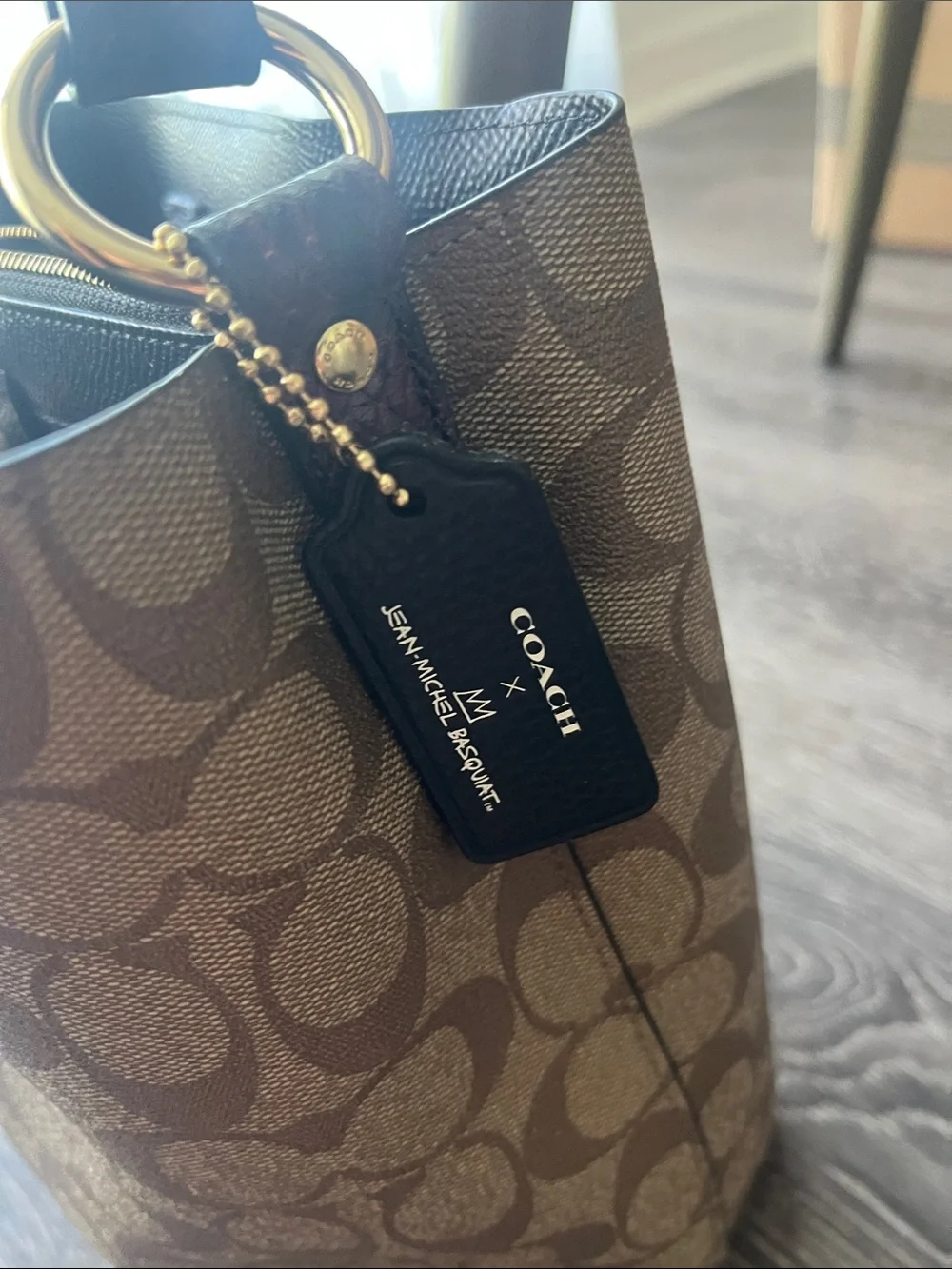 Coach X Jean-Michel Basquiat Dino bucket bag
